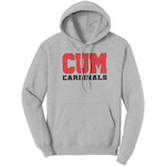 Christian University Michigan Hoodie Sweatshirt