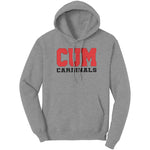 Christian University Michigan Hoodie Sweatshirt