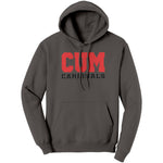 Christian University Michigan Hoodie Sweatshirt
