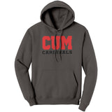 Christian University Michigan Hoodie Sweatshirt