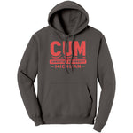 Christian University Michigan Hoodie Sweatshirt
