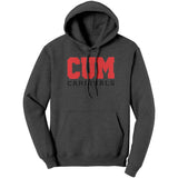 Christian University Michigan Hoodie Sweatshirt
