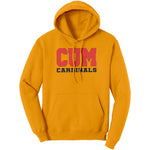 Christian University Michigan Hoodie Sweatshirt