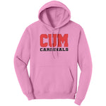 Christian University Michigan Hoodie Sweatshirt