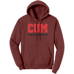 Christian University Michigan Hoodie Sweatshirt
