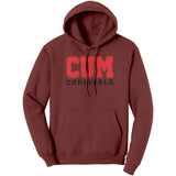 Christian University Michigan Hoodie Sweatshirt