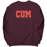 Christian University Michigan Sweatshirt