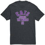 Northwestern Shirt Controversy Cats Against The World