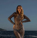 Silver Sheer Mesh Crystal Maxi Dress – Inspired by the Sydney Sweeney Red Carpet