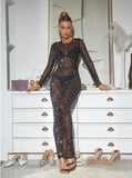 Silver Sheer Mesh Crystal Maxi Dress – Inspired by the Sydney Sweeney Red Carpet