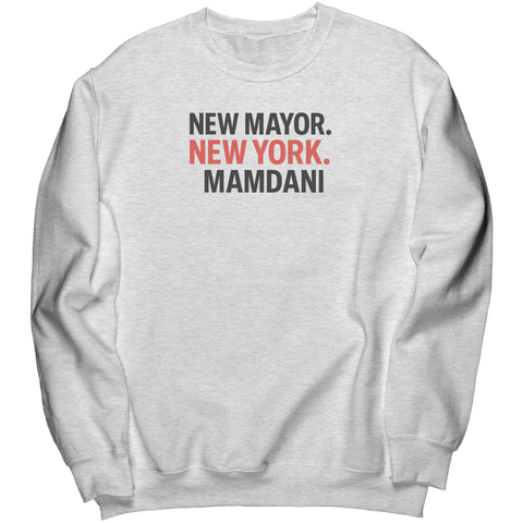Zohran_Mamdani__New_Mayor_of_New_York_Ash_Mockup.png